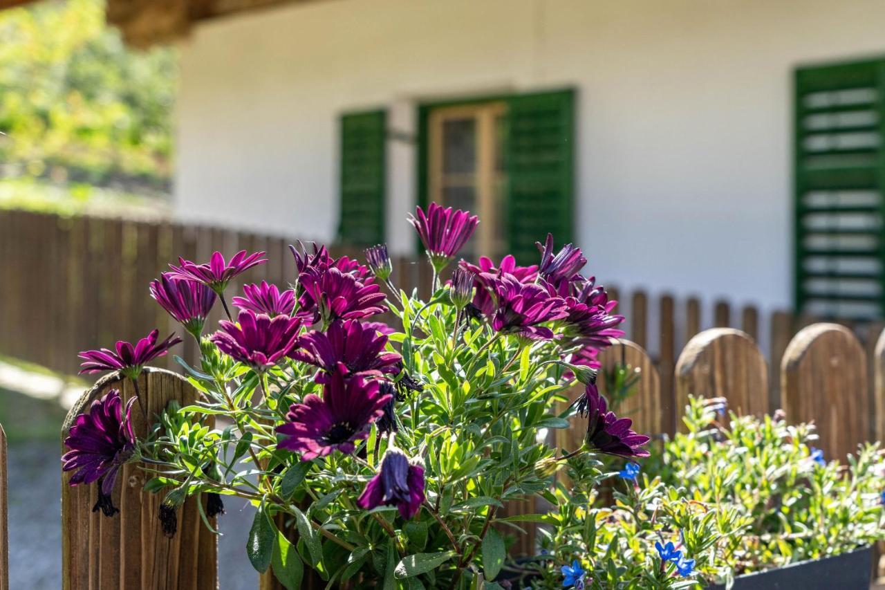 Ferienwohnung Brunjaunhof Шена Екстер'єр фото